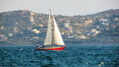 sailing boat sea summer