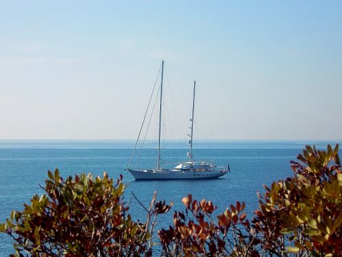 sailing boat sea sail