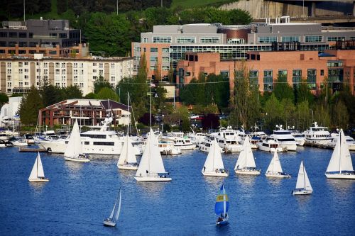 sailing boat sailor lake