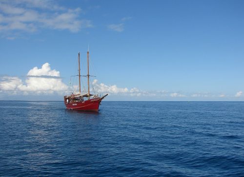 sailing boat body of water sea