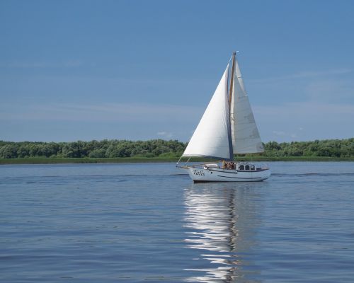 sailing boat elbe water