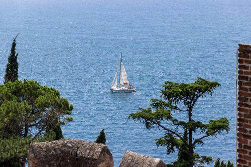 sailing boat booked water