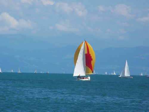 sailing boats sport water
