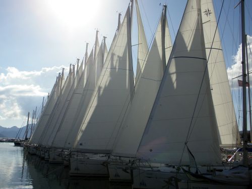 sailing boats yacht boating