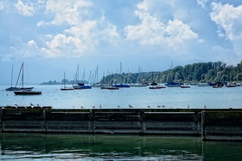 sailing boats port boats