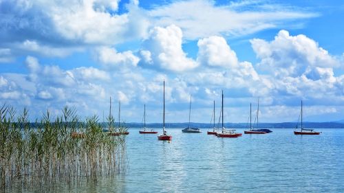 sailing boats port boats