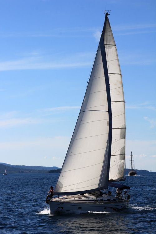 sailing vessel sailing boat sail