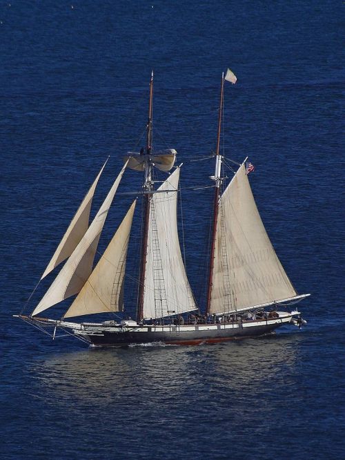 sailing vessel sail sea