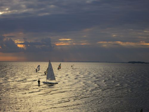 sails sea evening