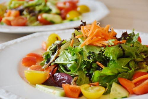 salad frisch food