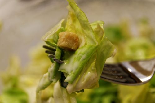 salad eat food