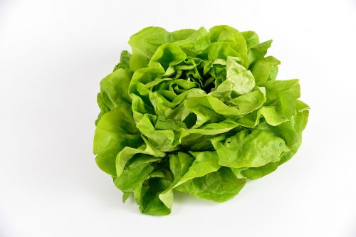salad green vegetables