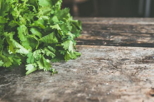 salad cilantro cooking