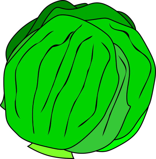 salad lettuce vegetable