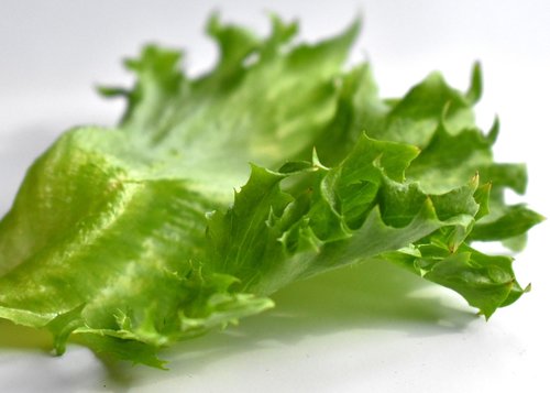 salad  green  nutrition