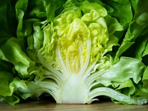salad  green  healthy