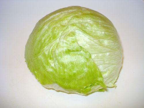 salad iceberg lettuce head of lettuce