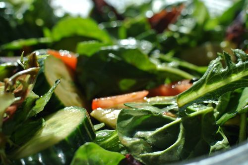 salad vegetables healthy