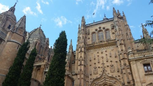 salamanca cathedral heritage