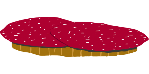 salami sandwich sausage