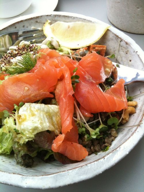 salmon salad healthy