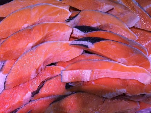 salmon salted salmon fish
