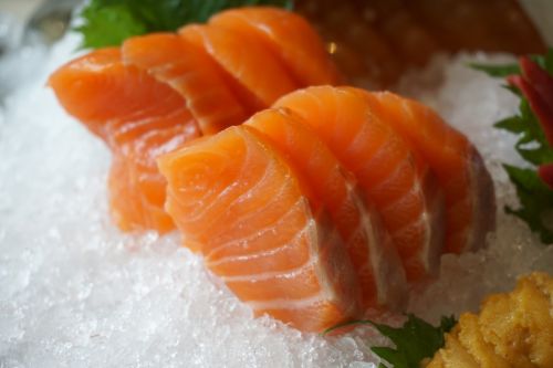 salmon ice fish and meat