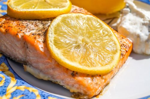 salmon food eat
