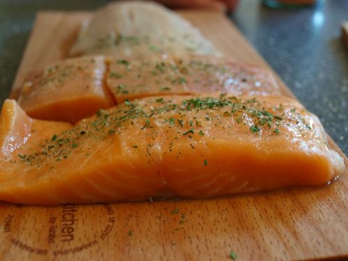 salmon salmon fillet fish