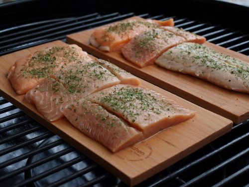 salmon grill fish on a plank