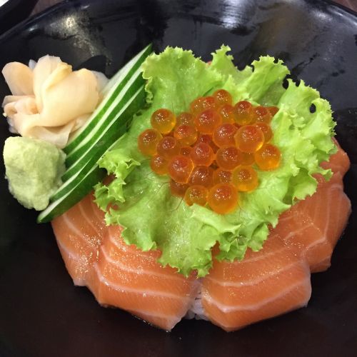 salmon japanese food foodporn