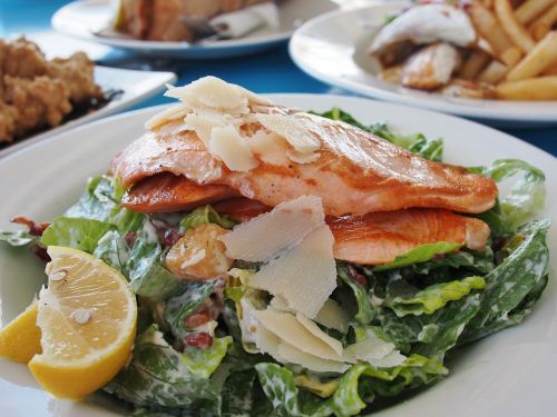 salmon dish salad