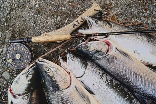 salmon alaska fishing