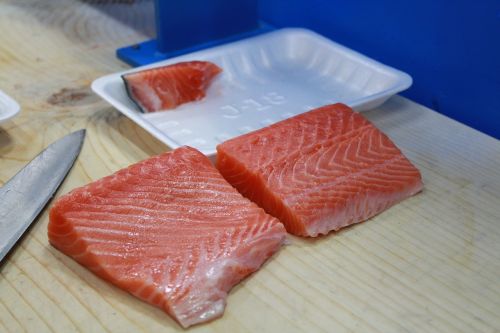 salmon time fish