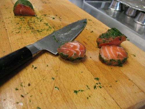 salmon norway sea ​​fish