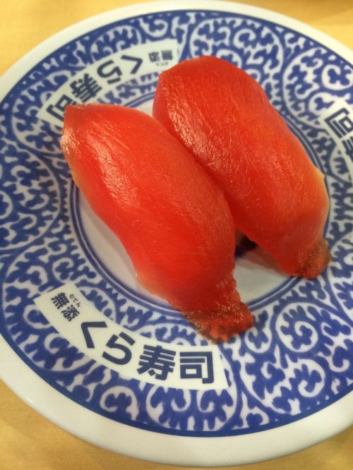 salmon sushi japanese food sushi
