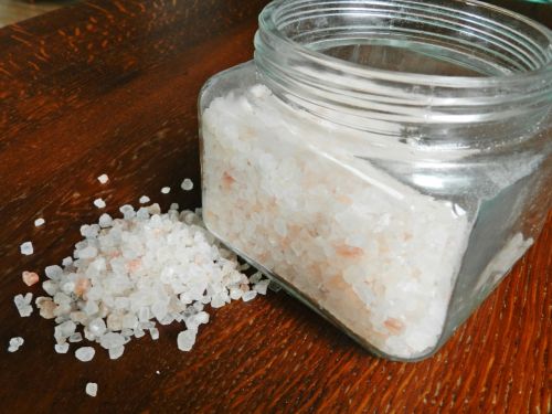salt health eco