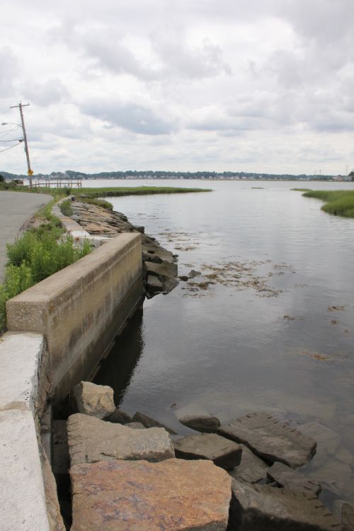 Salt Marsh