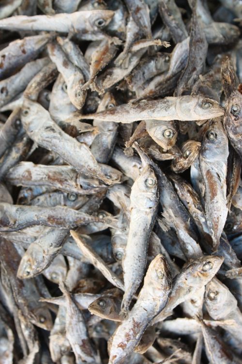 salted fish of the sea sea