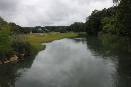 Salt Marsh