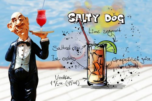 salty dog cocktail drink