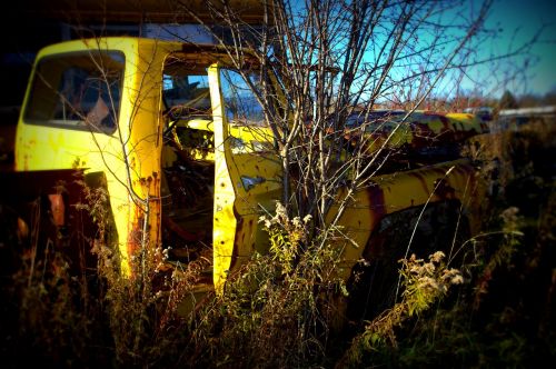 salvage yard car wreck