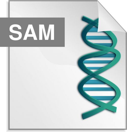 sam alignment sequencing
