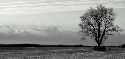 Alone In A Field