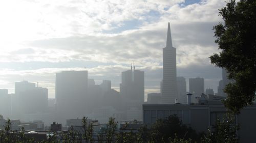 san francisco fog city skyline