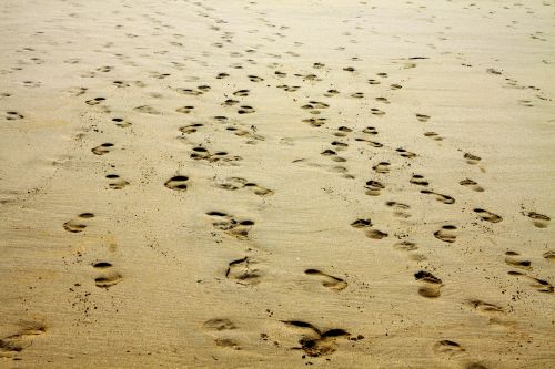 sand footprint beach