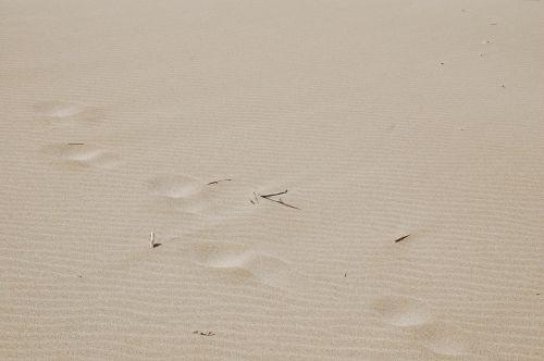 sand fingerprints space