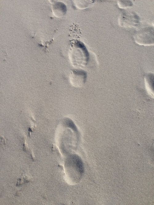 sand baltic sea traces