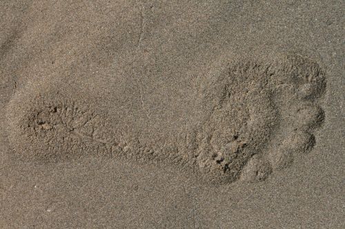 sand beach footprint