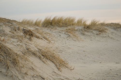 sand beach dunes